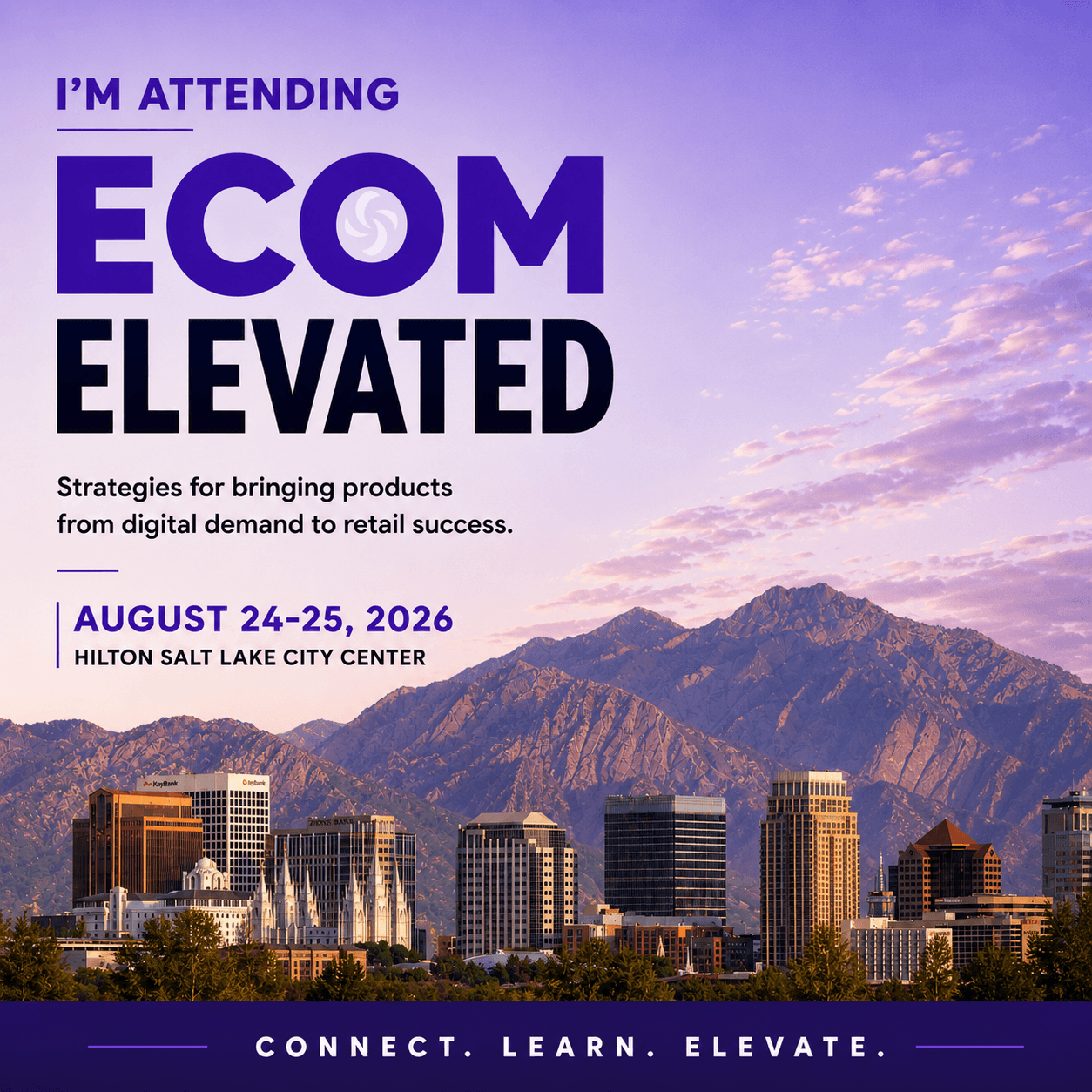 Ecom Elevated (VIP Tickets)